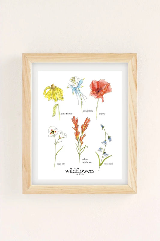 Wildflowers of Utah Print