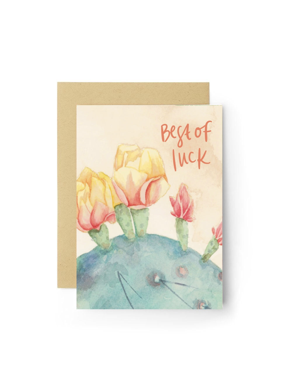 Greeting Card Variety Pack