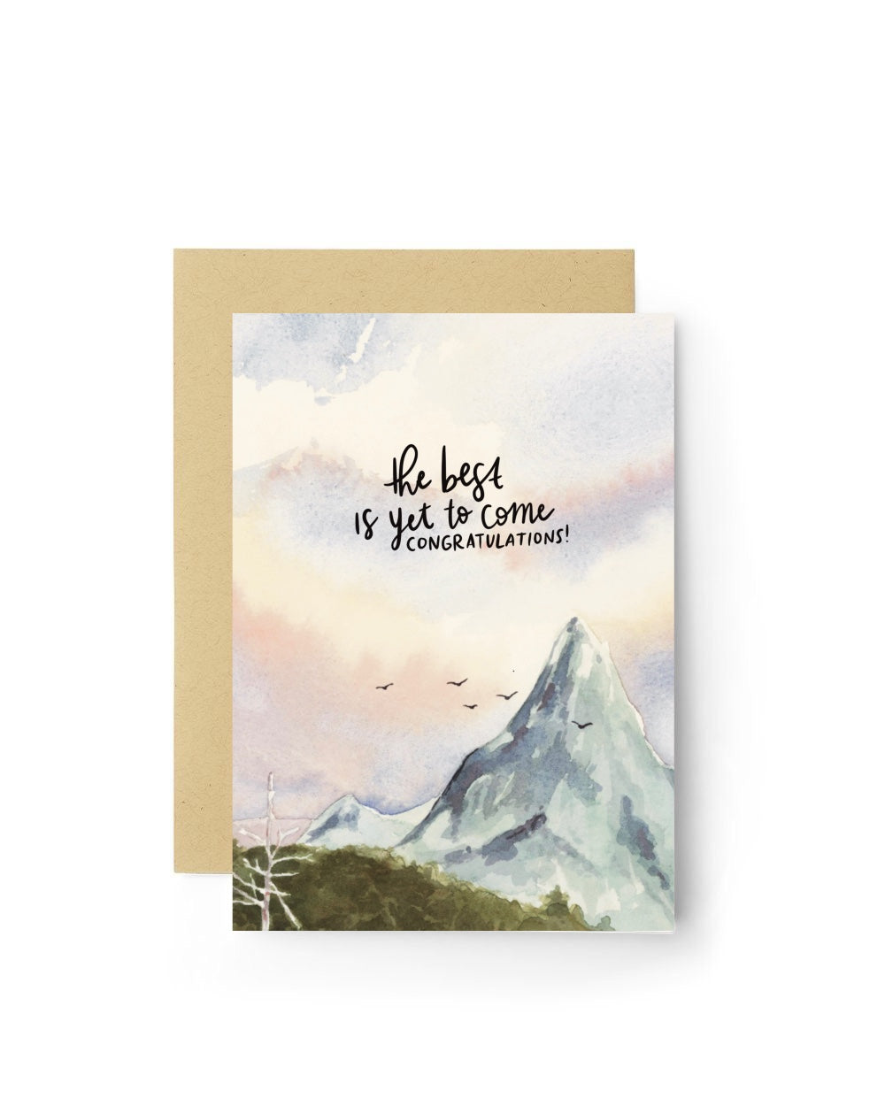 Greeting Card Variety Pack