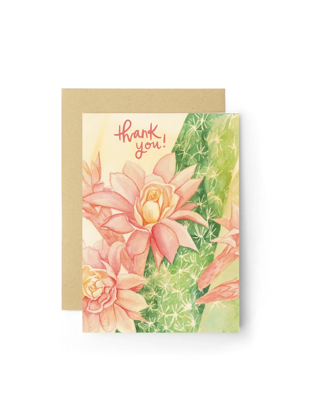 Greeting Card Variety Pack