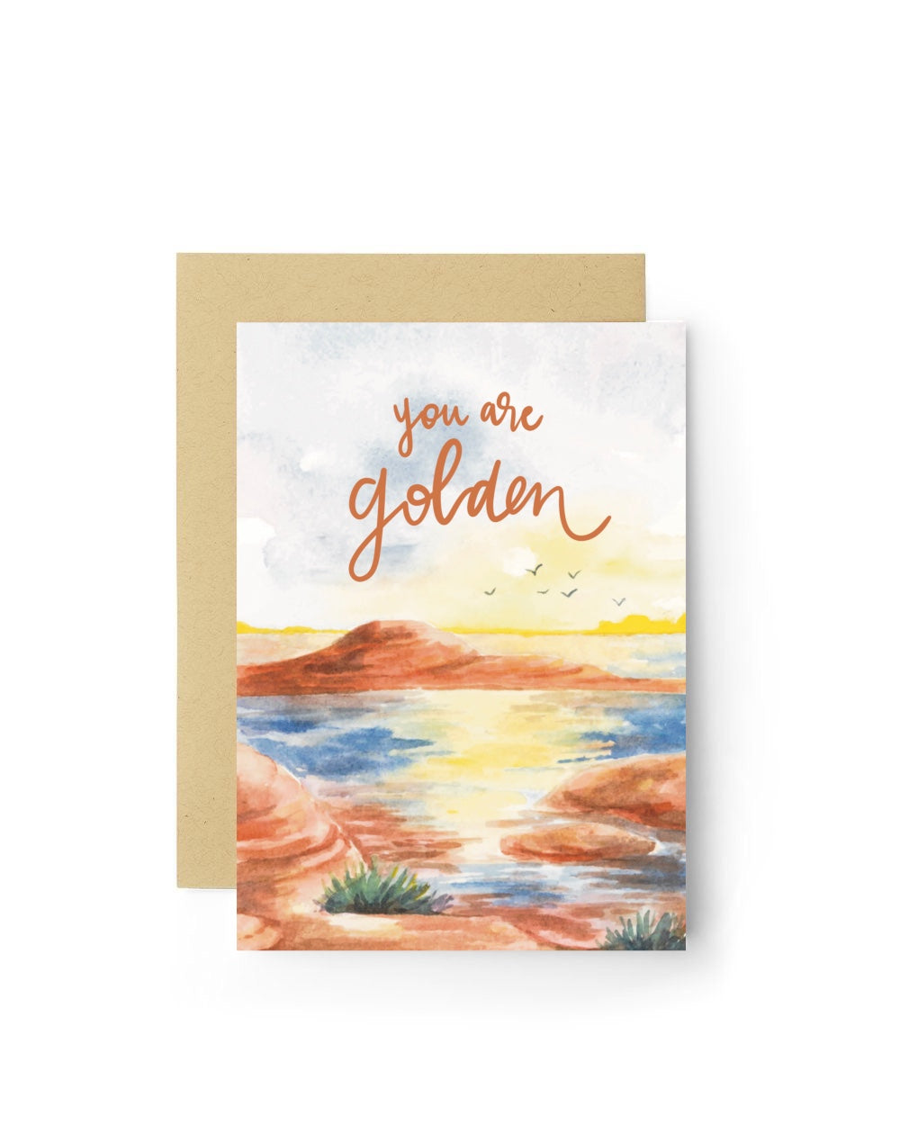 Greeting Card Variety Pack