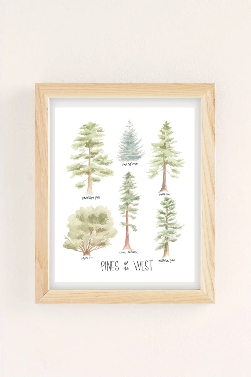 Pines of the West