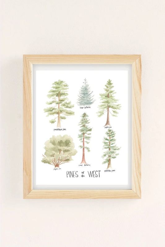 Pines of the West