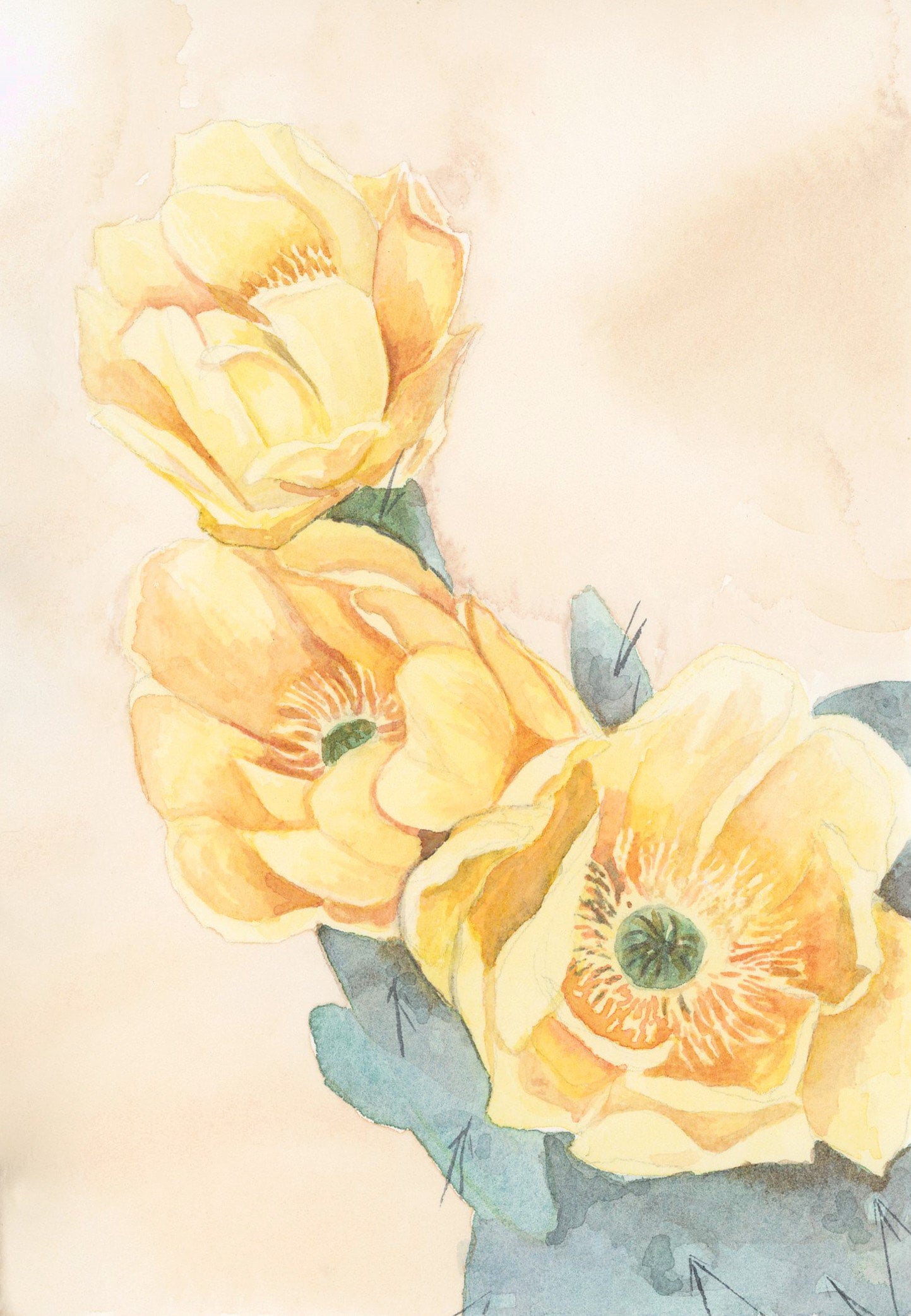 Desert Bloom 1