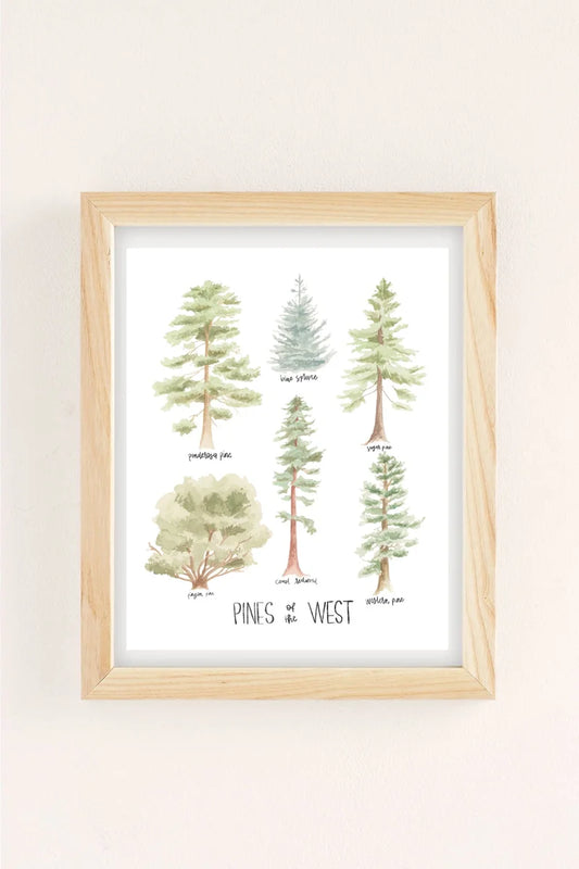 Pines of the West