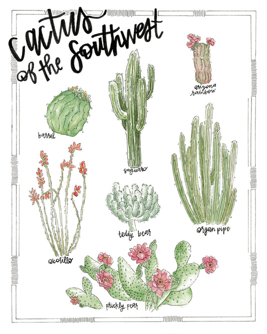 Cactus of the Southwest Print