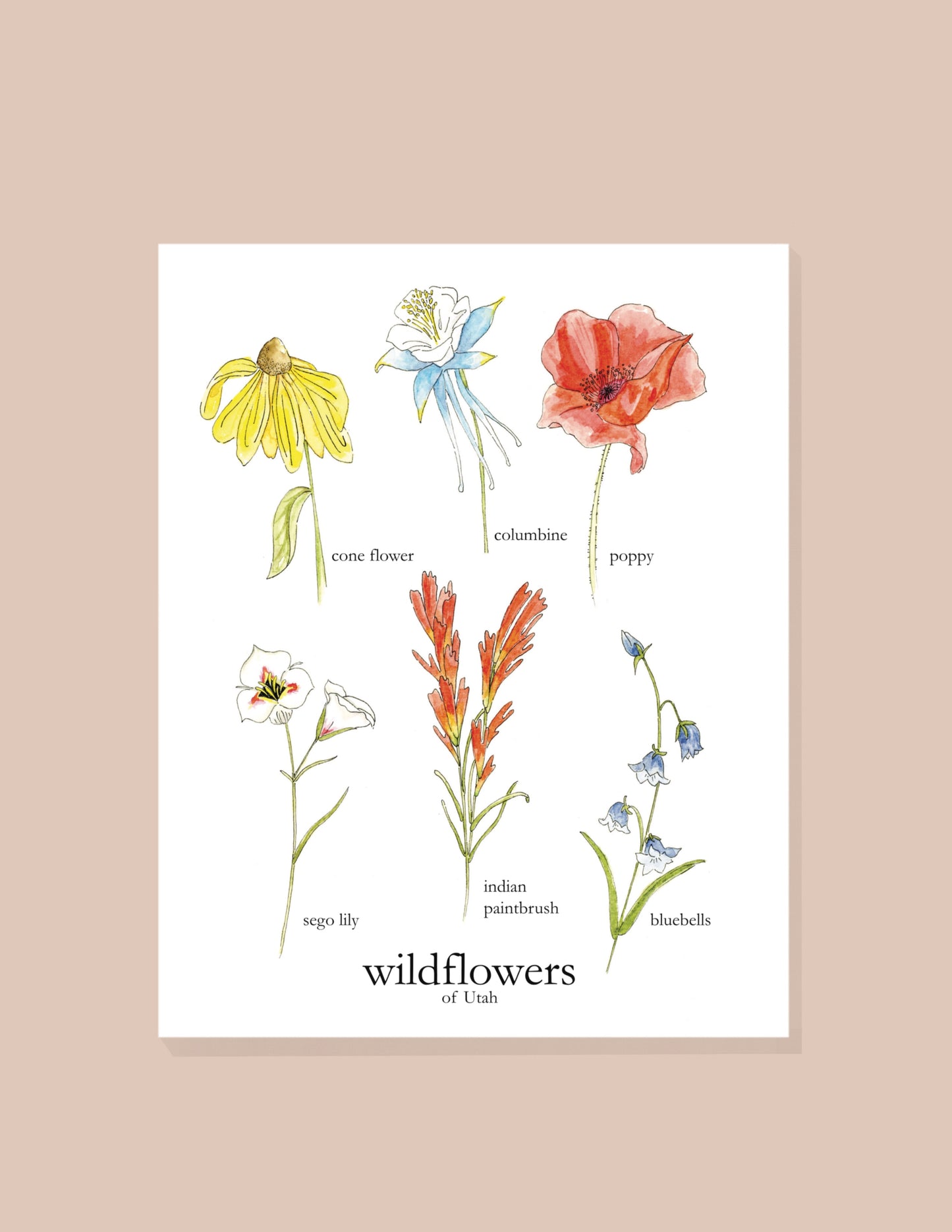 Wildflowers of Utah Print