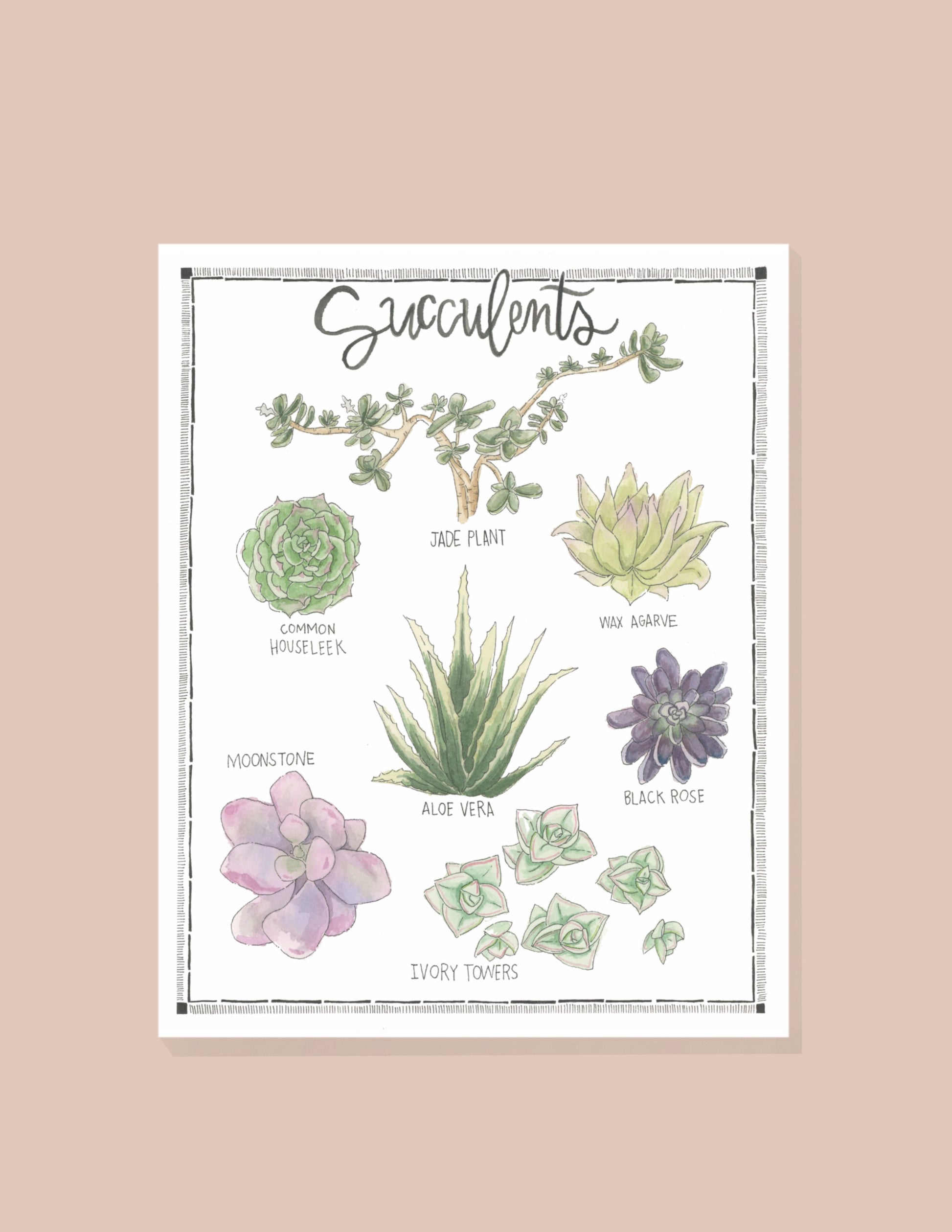 succulent poster Succulents – Sierra McGuire Art